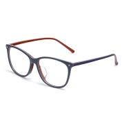 HAN板材时尚光学眼镜架-秀雅紫红(HD4953-F08)